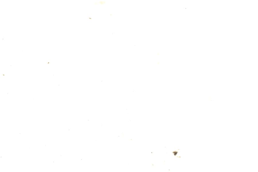 Image 180